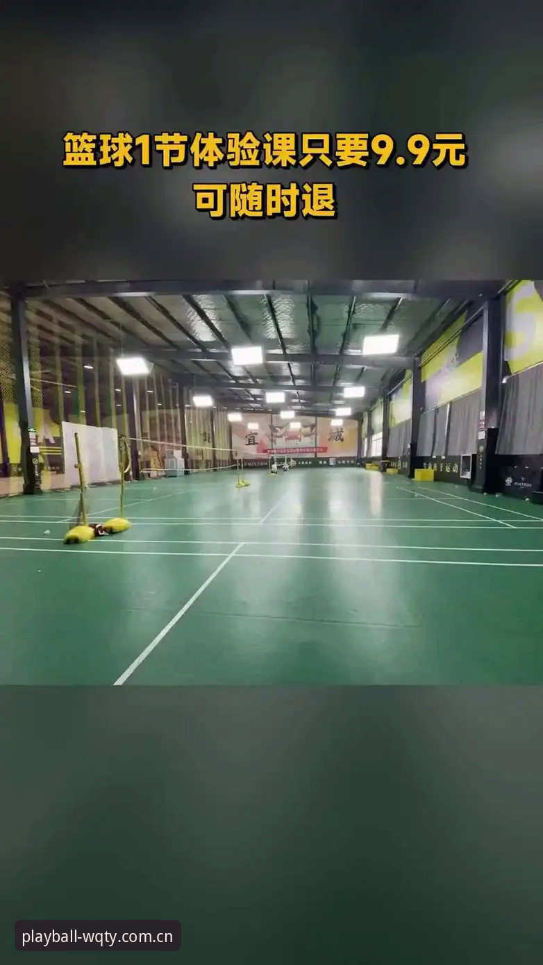 玩球体育平台深度评测：v2.1.0版本功能分析与下载体验报告