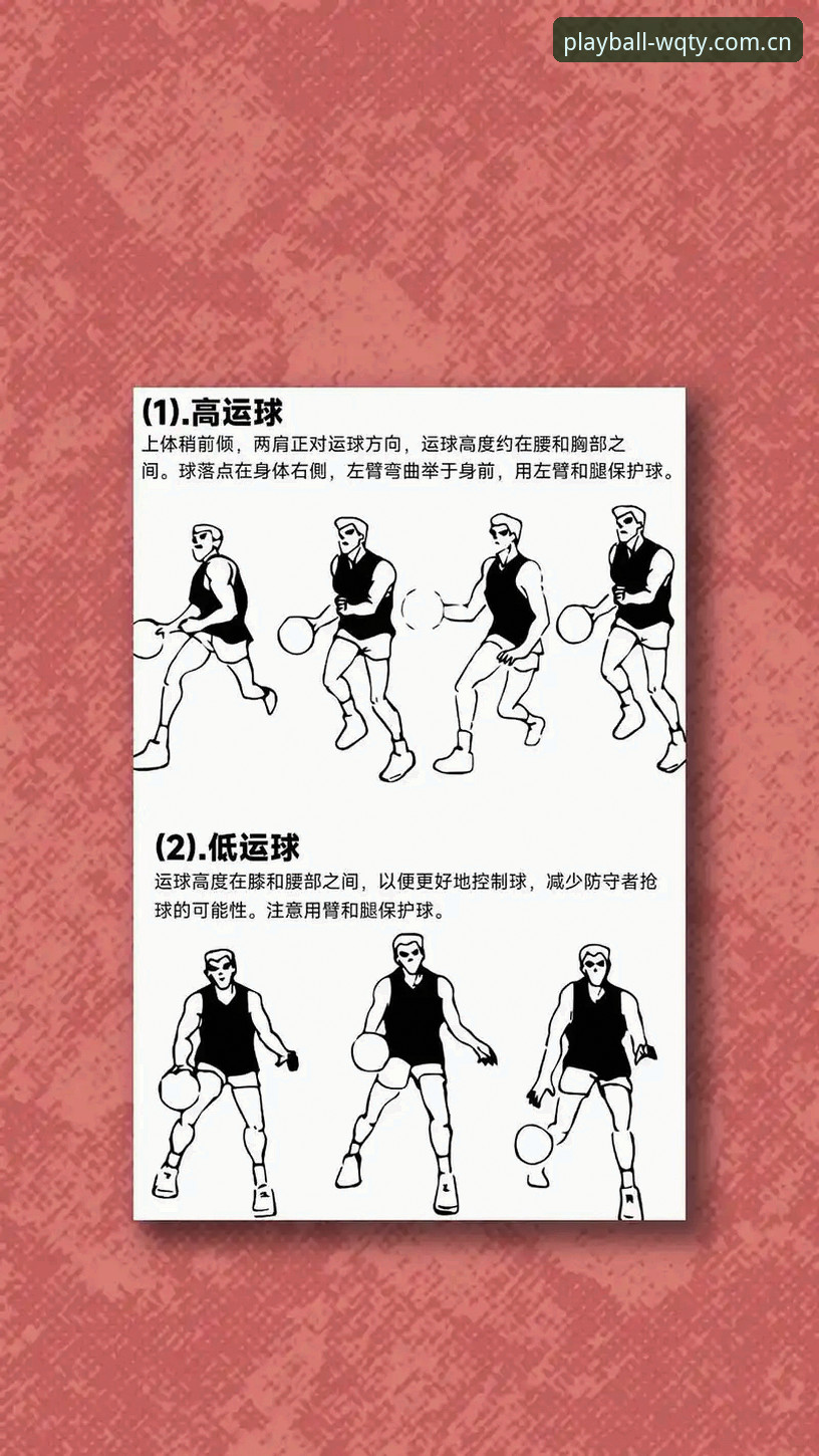 玩球体育直播使用技巧：从新手到高手的完整操作教程