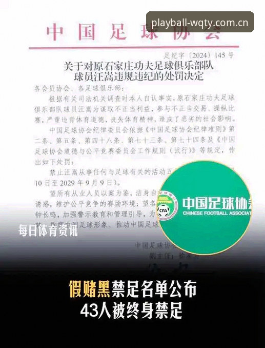 玩球体育平台看中国足协禁足名单：资深用户解读行业整治完整指南